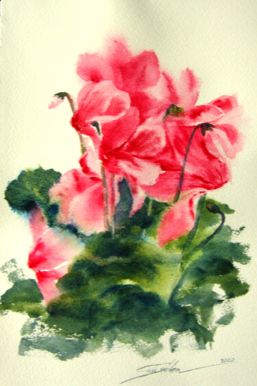 Painting titled "Cyclamen" by Elena Gaivoronskaia, Original Artwork, Watercolor