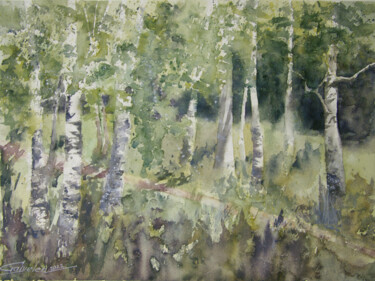 Painting titled "Birch Grove" by Elena Gaivoronskaia, Original Artwork, Watercolor