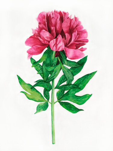 Malle Fleurs 11x14 Watercolour Print Floral Art Print Pink 