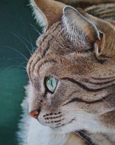 Pintura intitulada "Cat portrait" por Elena Kozyutenko, Obras de arte originais, Óleo
