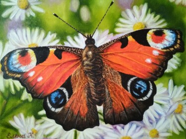 Painting titled "Butterfly . Peacock…" by Elena Kozyutenko, Original Artwork, Oil