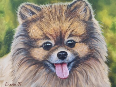 Painting titled "Cheerful Spitz" by Elena Kozyutenko, Original Artwork, Oil