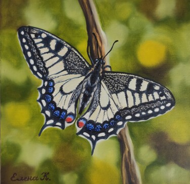 Painting titled "Butterfly Mahaon" by Elena Kozyutenko, Original Artwork, Oil Mounted on Cardboard