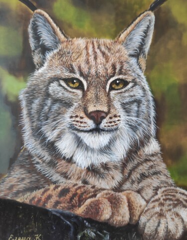 Peinture intitulée "Lynx" par Elena Kozyutenko, Œuvre d'art originale, Huile