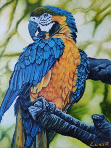 Painting titled "Parrot Blue-yellow…" by Elena Kozyutenko, Original Artwork, Oil Mounted on Cardboard