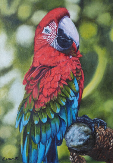 Painting titled "Green-winged macaw" by Elena Kozyutenko, Original Artwork, Oil Mounted on Cardboard