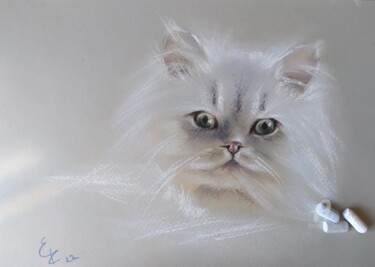 Pintura titulada "White cat" por Elena Kurnosova, Obra de arte original, Pastel