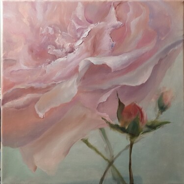 Painting titled "Rose in close-up" by Elena Mardashova, Original Artwork, Oil