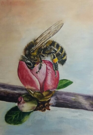 Peinture intitulée "Bee" par Elena Otieva, Œuvre d'art originale, Aquarelle