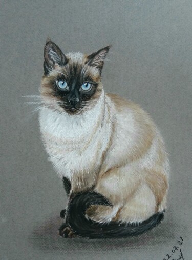Pittura intitolato "Cat" da Elena Otieva, Opera d'arte originale, Pastello