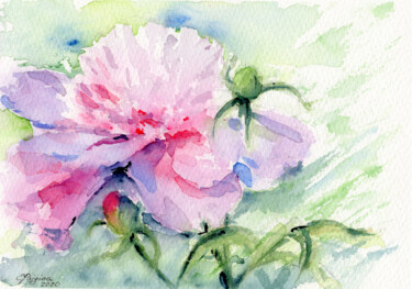 Painting titled "Delicate peony" by Elena Poigina, Original Artwork, Watercolor