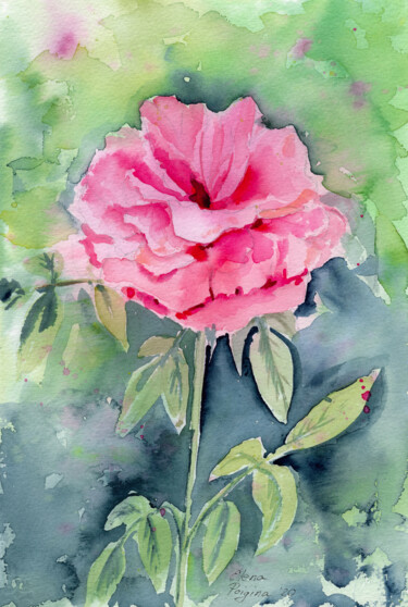 Картина под названием "Rosehip flower" - Elena Poigina, Подлинное произведение искусства, Акварель