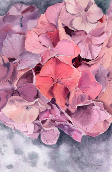 Painting titled "Pink hydrangea" by Elena Poigina, Original Artwork, Watercolor