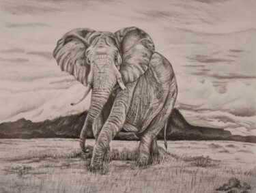 Drawing titled "“Mighty Elephant”" by Elena Serebriakova, Original Artwork, Pencil Mounted on Glass
