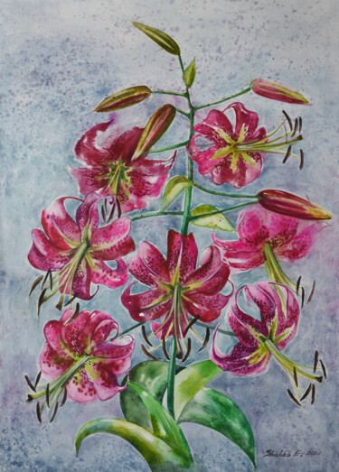 Painting titled "LILY. WATERCOLOR" by Elena Shichko, Original Artwork, Watercolor