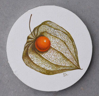 Painting titled "Physalis" by Elena Shichko, Original Artwork, Oil