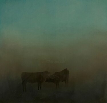 Картина под названием "Two cows" - Elena Troyanskaya, Подлинное произведение искусства, Масло Установлен на Деревянная панель