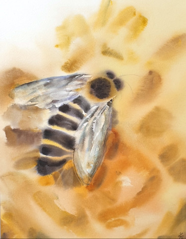 Painting titled "Honey Bee" by Elena Genkin, Original Artwork, Watercolor