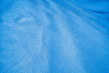 Fotografie getiteld "Blue cracks" door Elena Raceala, Origineel Kunstwerk, Digitale fotografie