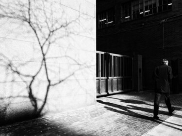 Fotografia intitulada "The light behind me" por Elena Raceala, Obras de arte originais, Fotografia digital