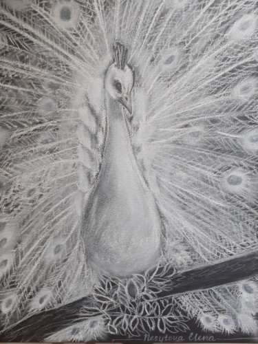 Disegno intitolato "Paon blanc" da Elena Nesytova, Opera d'arte originale, Gesso