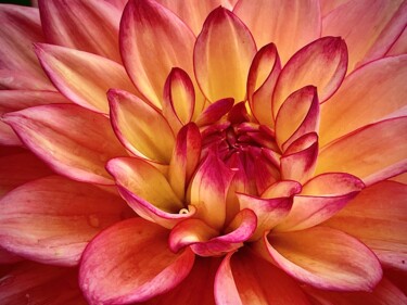 Photographie intitulée "Dahlia flower" par Eleni Gemeni, Œuvre d'art originale, Photographie numérique