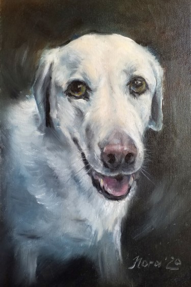 Painting titled "Labrador retriever…" by Eleonora Taranova, Original Artwork, Oil