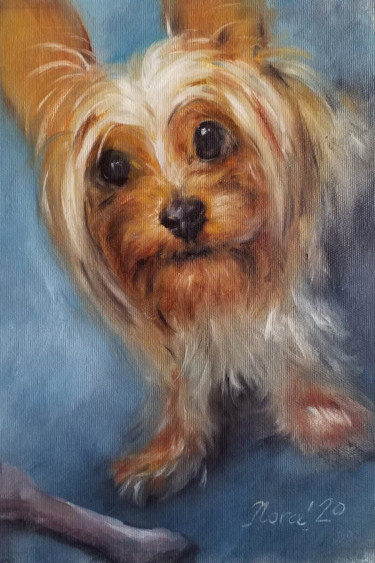 Schilderij getiteld "Yorkshire terrier p…" door Eleonora Taranova, Origineel Kunstwerk, Olie