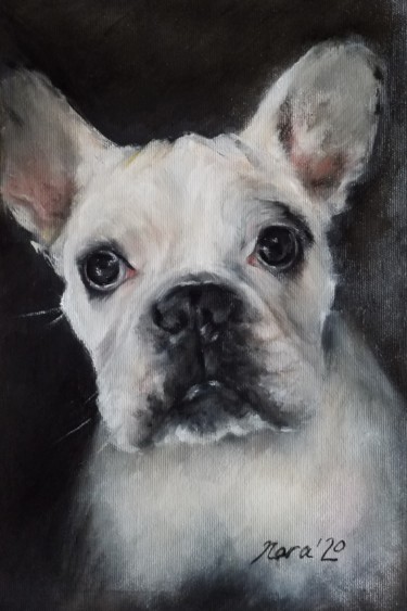 Картина под названием "French bulldog blac…" - Eleonora Taranova, Подлинное произведение искусства, Масло