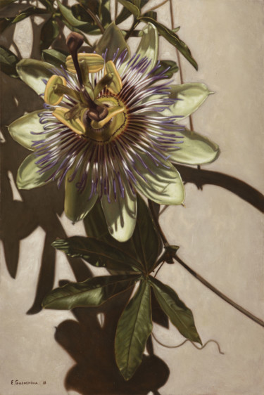 Ζωγραφική με τίτλο "Passiflora.jpg" από Eleonora Gushchina, Αυθεντικά έργα τέχνης, Λάδι