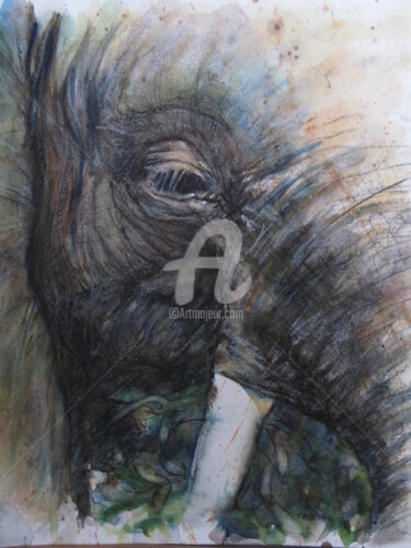 Painting titled "elephant-aquarelle-…" by Elisabeth Le Prunenec, Original Artwork, Watercolor