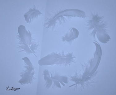 Fotografia intitulada "De belle plumes d'o…" por Lucie Estermann, Obras de arte originais, Fotografia digital