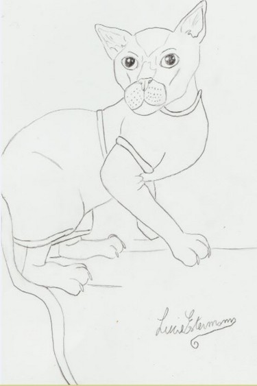 Dessin intitulée "un chat" par Lucie Estermann, Œuvre d'art originale, Crayon