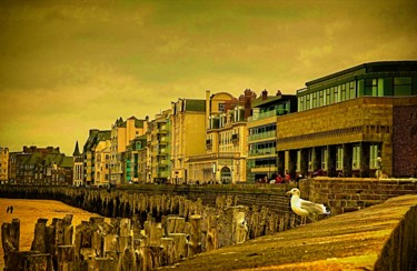 Photography titled "Gull Watching" by Elf Evans, Original Artwork, Digital Photography