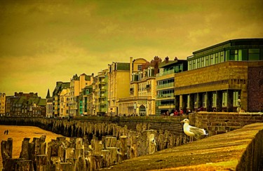 Photographie intitulée "Gull Watching" par Elf Evans, Œuvre d'art originale, Photographie numérique