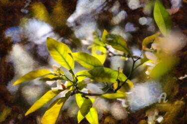 Photography titled "Greek spring" by Elina Geyer, Original Artwork, Digital Photography