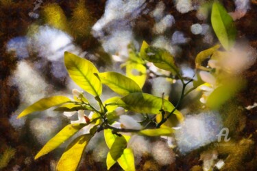 Fotografia intitolato "Greek spring" da Elina Geyer, Opera d'arte originale, Fotografia digitale