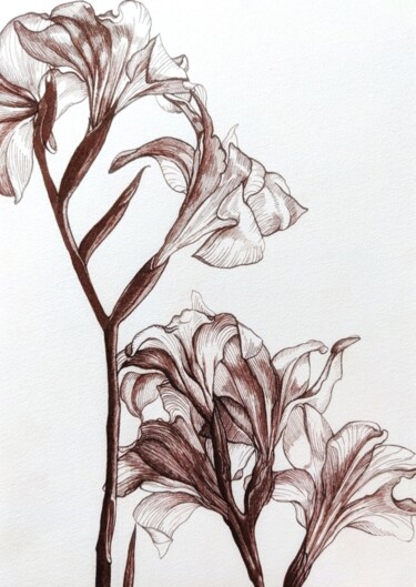 Ζωγραφική με τίτλο "Amaryllis flower" από Elisa Aleksenko, Αυθεντικά έργα τέχνης, Μελάνι