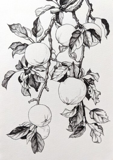 Dessin intitulée "Apple tree branch" par Elisa Aleksenko, Œuvre d'art originale, Encre