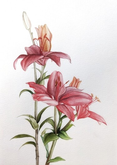 Painting titled "Pink lilies" by Elisa Aleksenko, Original Artwork, Watercolor