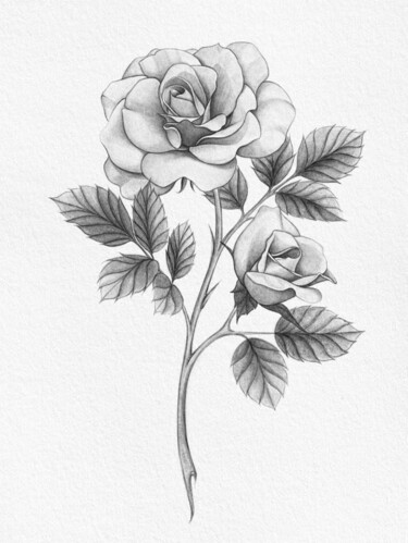 Digitale Kunst mit dem Titel "Roses" von Elisa Aleksenko, Original-Kunstwerk, Bleistift