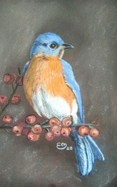 Drawing titled "Oiseau à tête bleue" by Élisa Brun, Original Artwork, Pastel