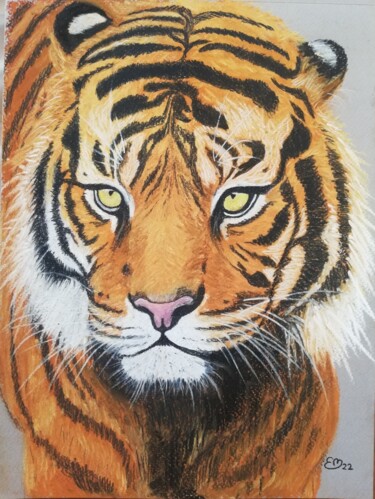 Rysunek zatytułowany „Tigre du Bengale” autorstwa Élisa Brun, Oryginalna praca, Pastel