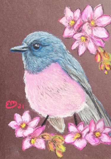 Dessin intitulée "Pink robin" par Élisa Brun, Œuvre d'art originale, Pastel