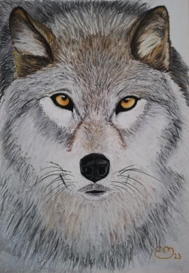 Dibujo titulada "Loup gris" por Élisa Brun, Obra de arte original, Pastel Montado en Panel de madera