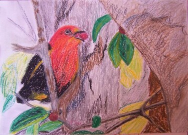 Zeichnungen mit dem Titel "Oiseau" von Élisa Brun, Original-Kunstwerk, Pastell