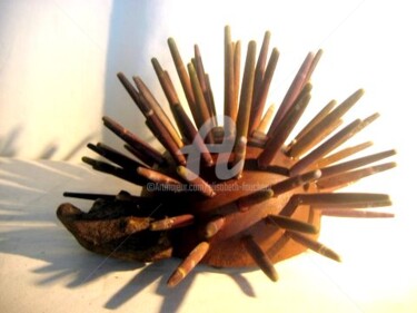 Sculpture titled "Le hérissin" by Elisabeth Faucheur, Original Artwork, Wood