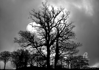 Photographie intitulée "Hiver" par Elisabeth Hurtel, Œuvre d'art originale, Photographie numérique