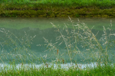 Фотография под названием "raies d'eau.jpg" - Elisabeth Laplante, Подлинное произведение искусства, Цифровая фотография