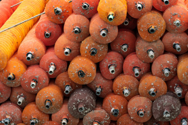 Fotografia intitolato "oranges en lignes.j…" da Elisabeth Laplante, Opera d'arte originale, Fotografia digitale